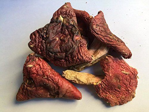 Dried red pigeon.