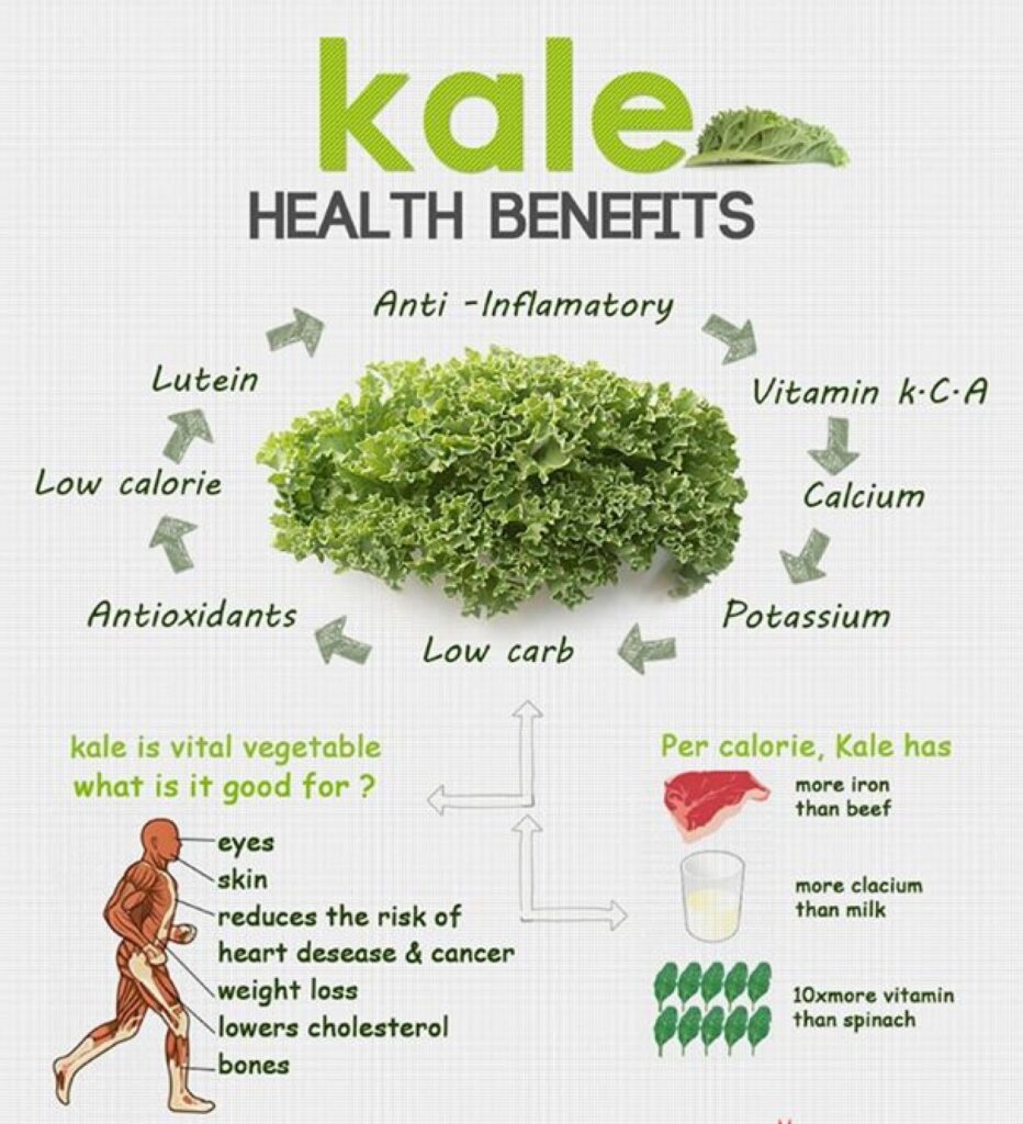 Zdravotní účinky této zeleniny, které obsahuje a jsou přínosné pro tělo.