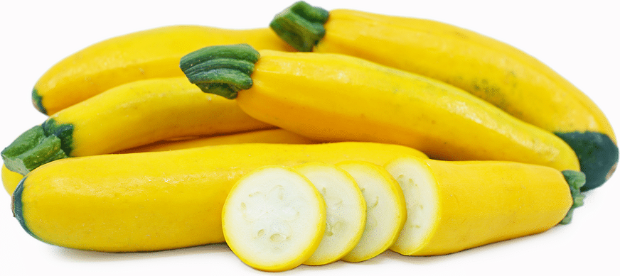 Yellow and golden zucchini on a white background
