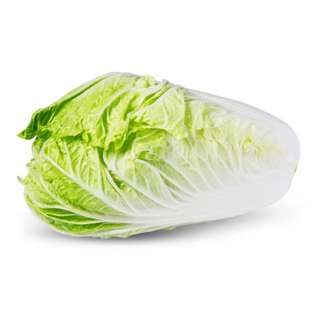A head of Napa cabbage