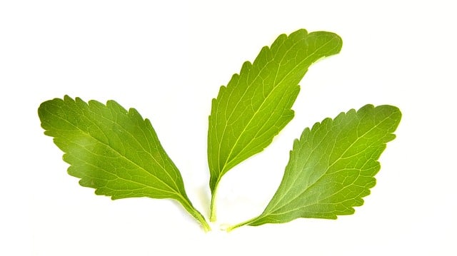 Stevia-Blätter