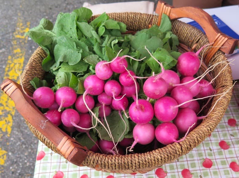 Ošatka with pink radishes