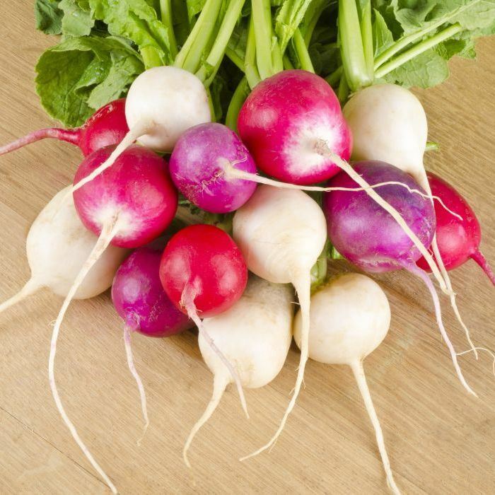 The fruits of Easter radishes