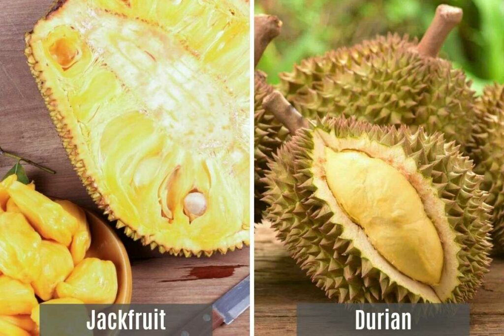 A collage of two pictures - the first one is a sliced jackfruit and the second one is a durian.