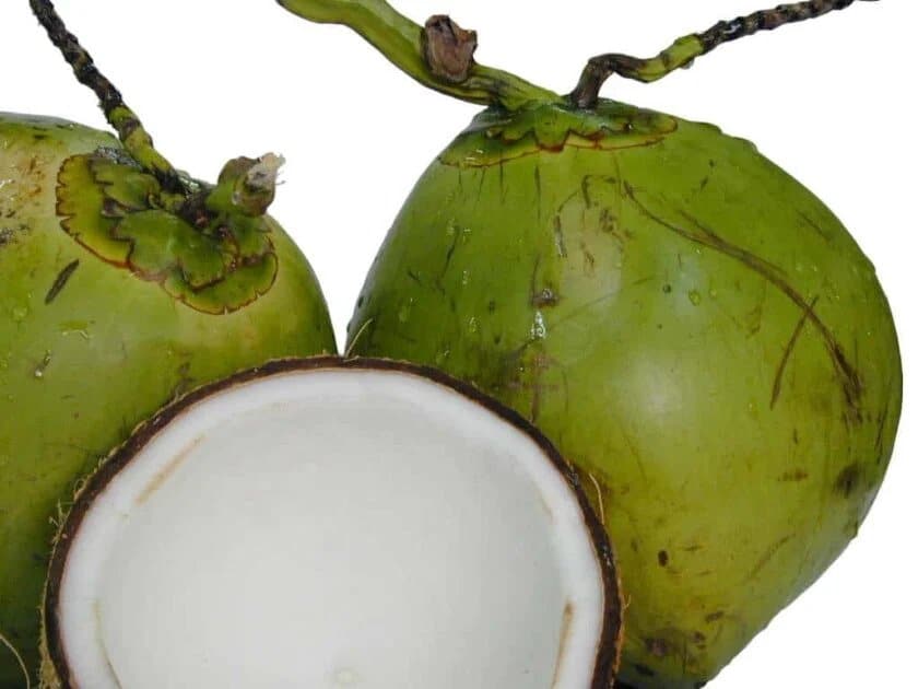 Ripe green coconuts.
