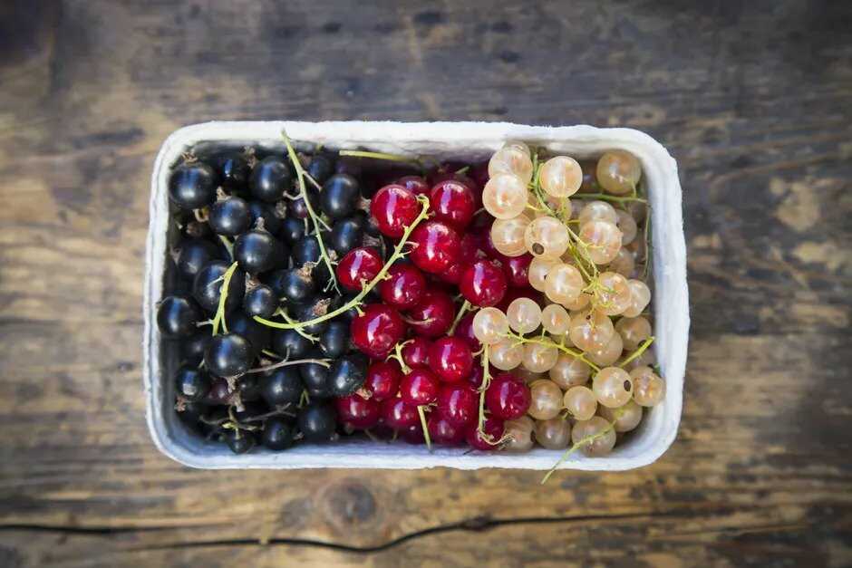 Red, black and white currants in a bowl.