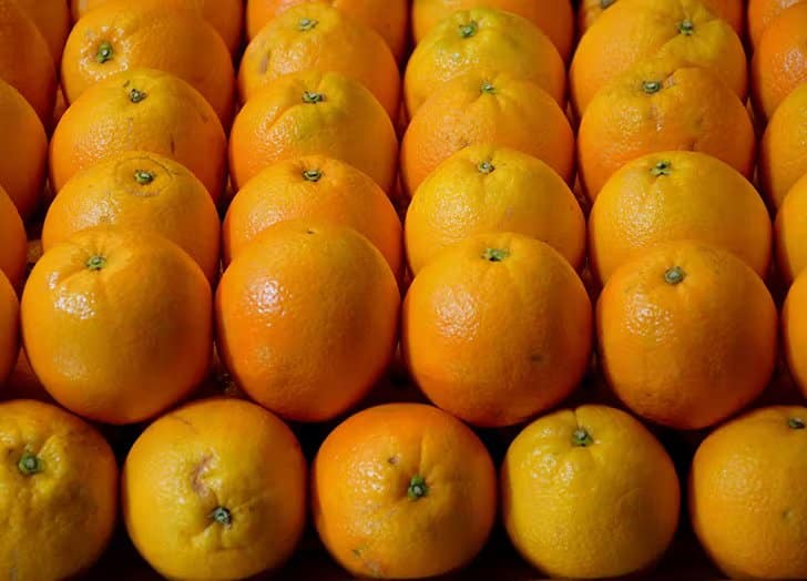 Lots of fresh ordinary oranges.