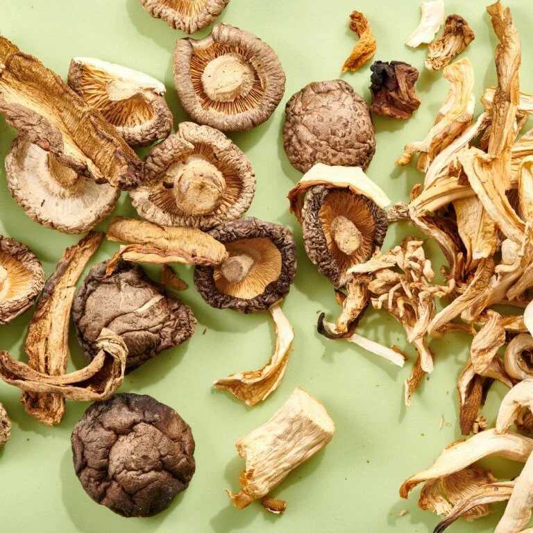 Dried mushrooms.