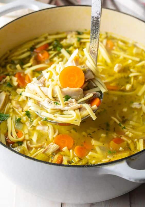 Delicious broth with noodles and chicken meat with vegetables.