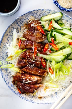 Sliced duck with rice, cucumber and chili on a plate.